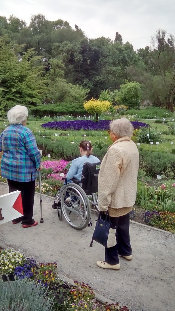 Na alejce w parku trzy kobiety, jedna na wózku inwalidzkim spoglądają na ogród, kwiaty.